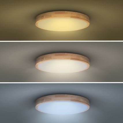 LED Prigušiva stropna svjetiljka SOLID OAK LED/48W/230V 3000-6500K hrast pr. 39 cm + daljinski upravljač