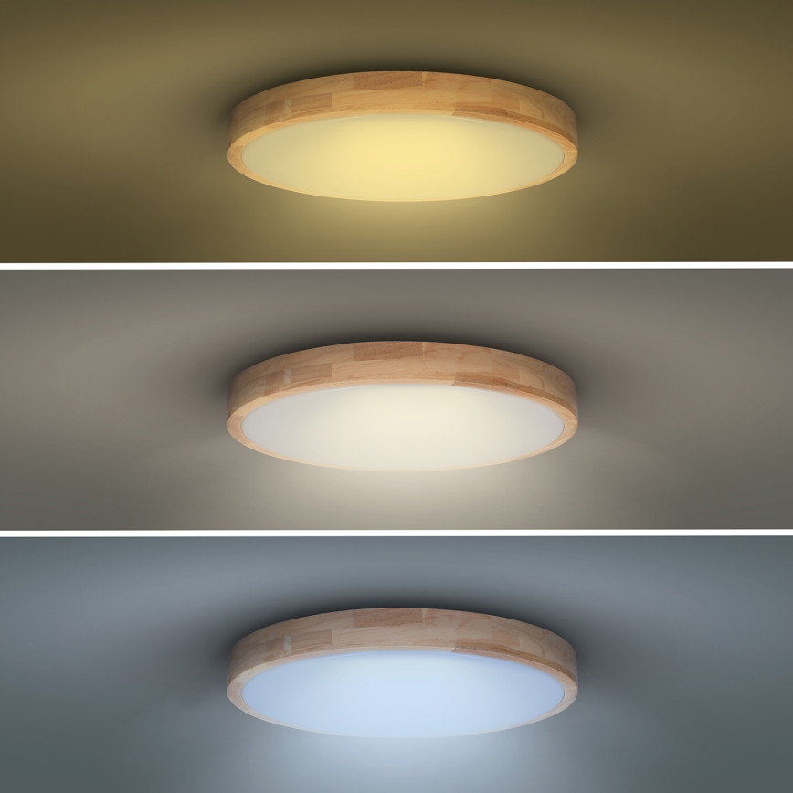 LED Prigušiva stropna svjetiljka SOLID OAK LED/48W/230V 3000-6500K hrast pr. 39 cm + daljinski upravljač