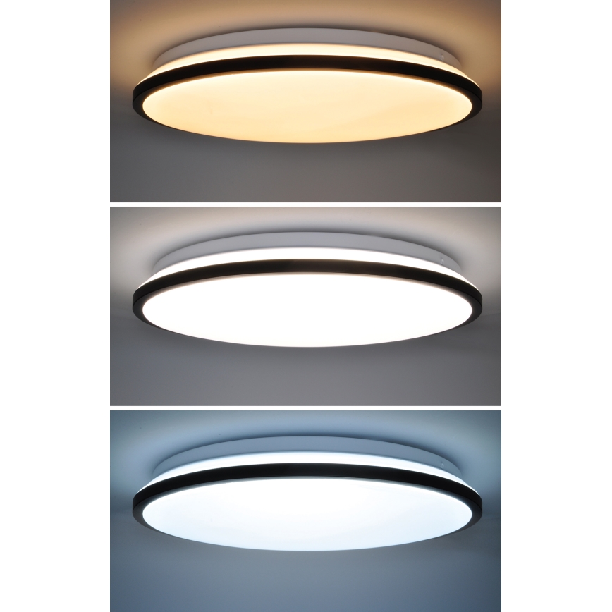 LED Dimmabilno stropno svjetlo JAMIL LED/48W/230V 3000-6500K crna + daljinski upravljač