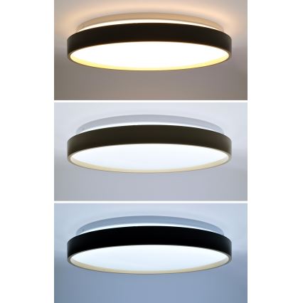 LED Prigušiva stropna svjetiljka CALA LED/48W/230V 3000-6500K crna/zlatna + daljinski upravljač