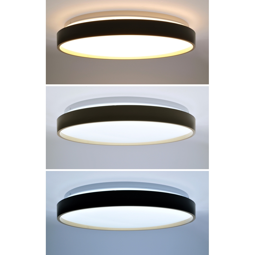 LED Prigušiva stropna svjetiljka CALA LED/48W/230V 3000-6500K crna/zlatna + daljinski upravljač