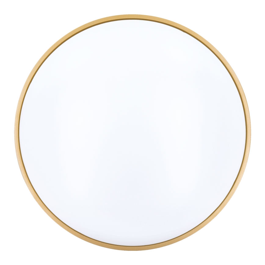 LED Prigušiva stropna svjetiljka CALA LED/48W/230V 3000-6500K crna/zlatna + daljinski upravljač