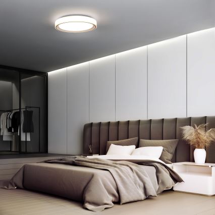 LED RGB Prigušiva stropna svjetiljka FLOCO LED/30W/230V 3000-6500K + RGB/6W pr. 40cm + daljinski upravljač