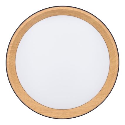 LED Prigušiva stropna svjetiljka LARIOS LED/48W/230V 3000-6500K pr.39 cm crna + daljinski upravljač