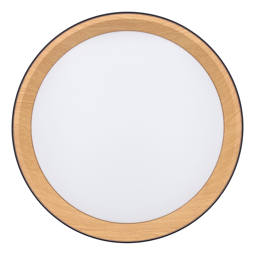 LED Prigušiva stropna svjetiljka LARIOS LED/48W/230V 3000-6500K pr.39 cm crna + daljinski upravljač