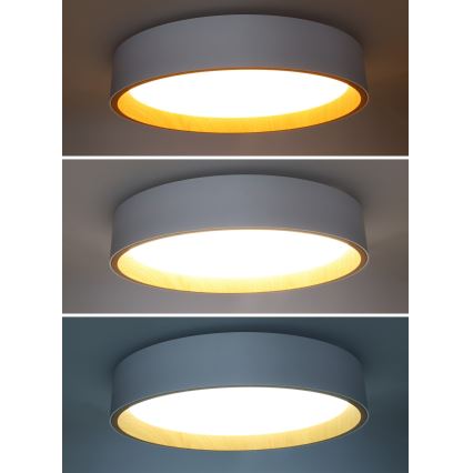 LED Prigušiva stropna svjetiljka LARIOS LED/48W/230V 3000-6500K pr.39 cm bílá+ daljinski upravljač