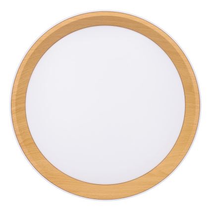LED Prigušiva stropna svjetiljka LARIOS LED/48W/230V 3000-6500K pr.39 cm bílá+ daljinski upravljač
