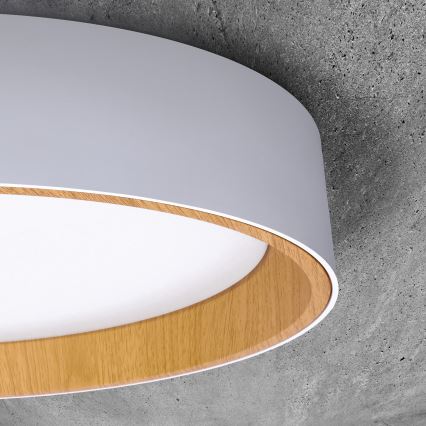 LED Prigušiva stropna svjetiljka LARIOS LED/48W/230V 3000-6500K pr.39 cm bílá+ daljinski upravljač