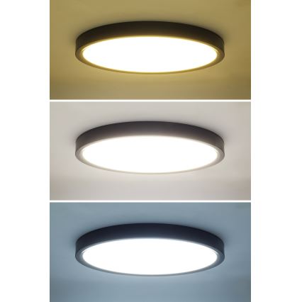LED Prigušiva stropna svjetiljka ESTELA LED/36W/230V pr.30 cm crna + daljinski upravljač