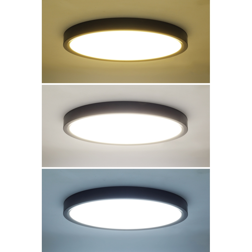 LED Prigušiva stropna svjetiljka ESTELA LED/36W/230V pr.30 cm crna + daljinski upravljač