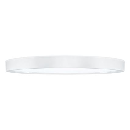 LED Prigušiva stropna svjetiljka ESTELA LED/36W/230V pr.30 cm bijela + daljinski upravljač