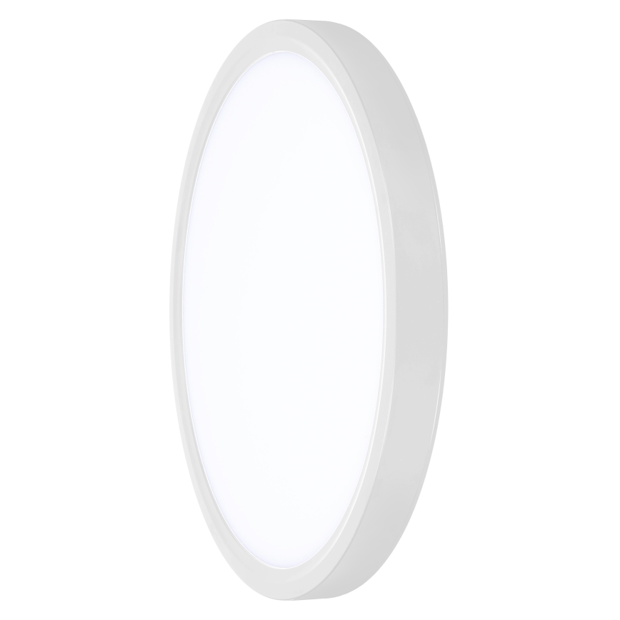 LED Dimmabilno stropno svjetlo ESTELA LED/36W/230V promjer 30 cm bijela + daljinski upravljač