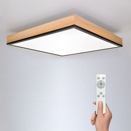 LED Prigušiva stropna svjetiljka LED/40W/230V 3000-6500K + daljinski upravljač