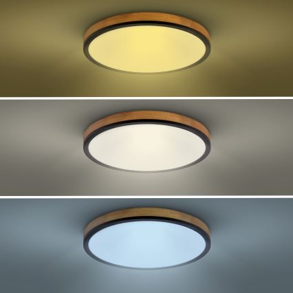 LED Dimmabilno stropno svjetlo LED/40W/230V 3000-6500K hrast + daljinski upravljač