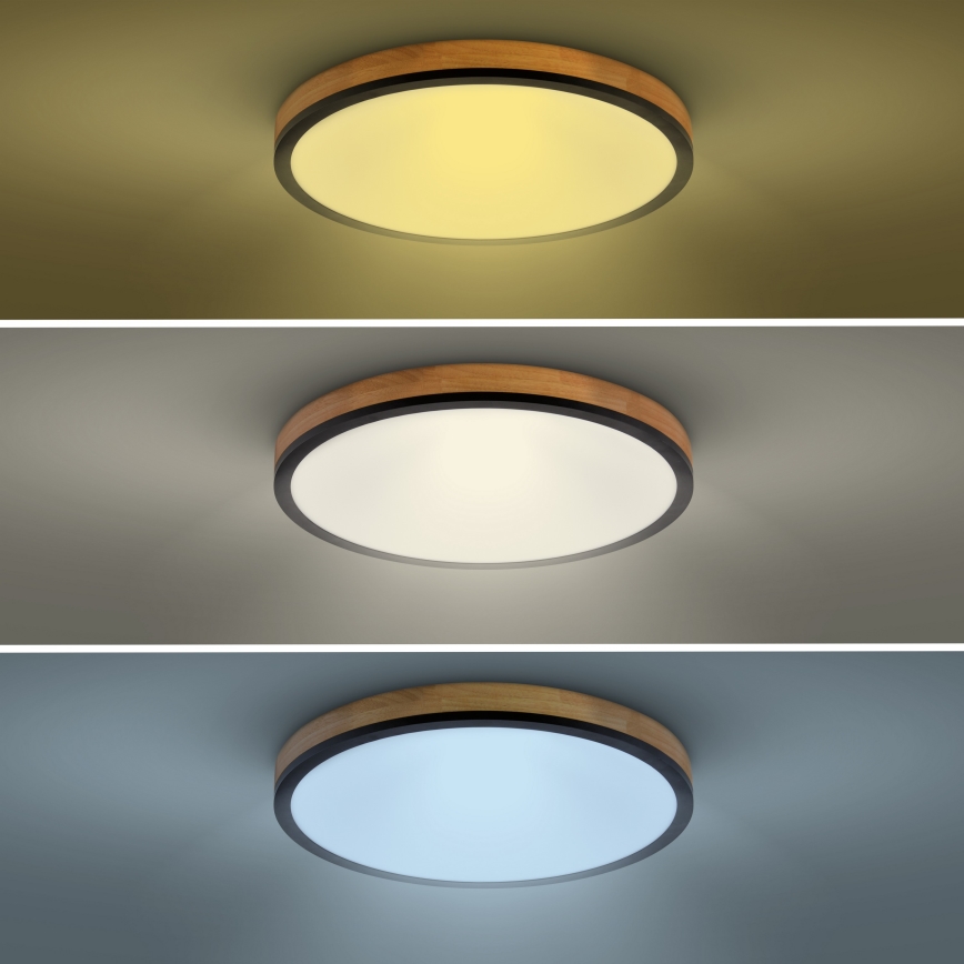 LED Dimmabilno stropno svjetlo LED/40W/230V 3000-6500K hrast + daljinski upravljač