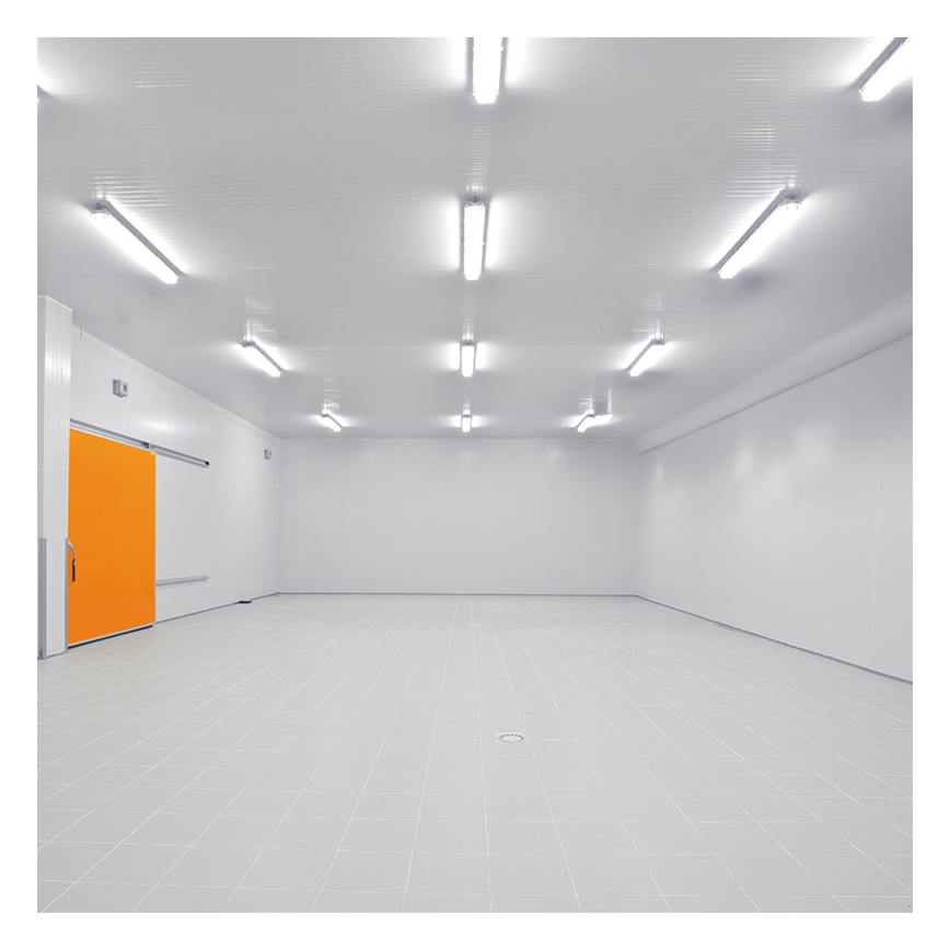 LED Radna svjetiljka LED/50W/230V 4000K IP65