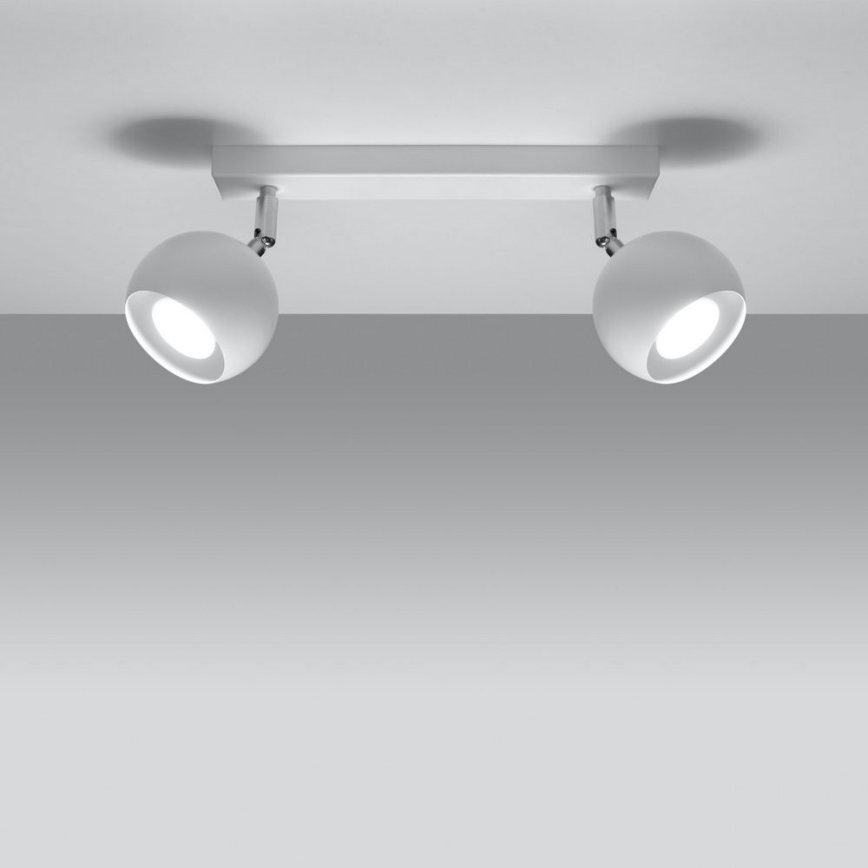 Stropna reflektorska svjetiljka OCULARE 2xGU10/10W/230V