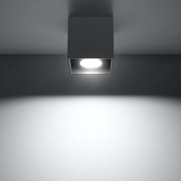 Reflektorska svjetiljka QUAD 1 1xGU10/10W/230V antracit