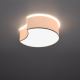 Stropna svjetiljka CIRCLE 2xE27/60W/230V bijela