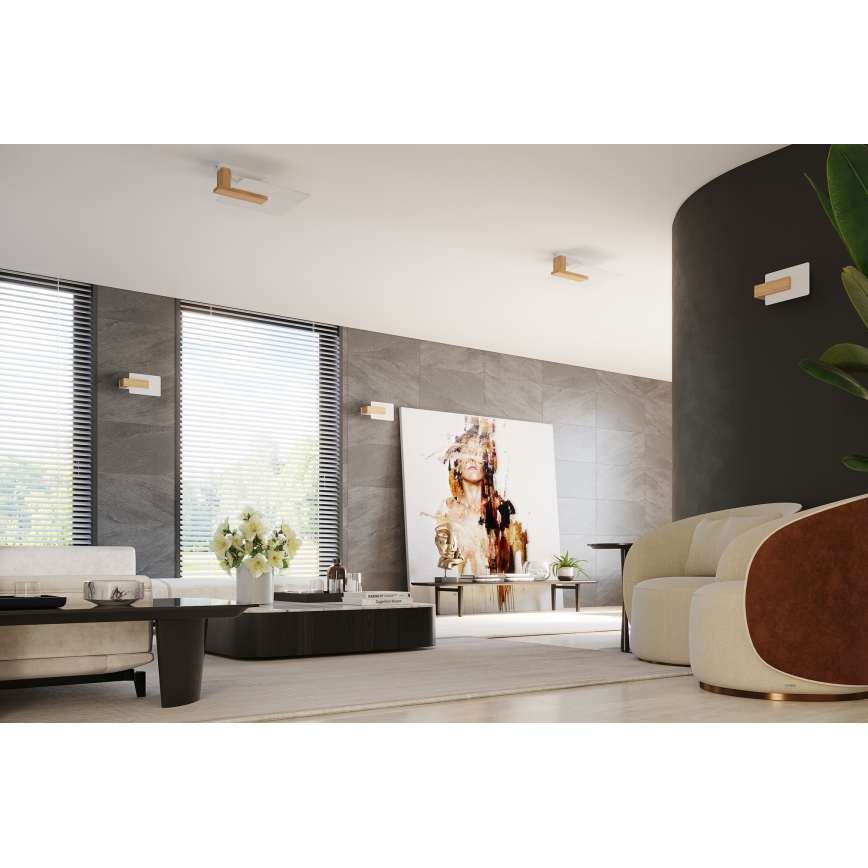 Stropna svjetiljka LAPPO 2xE27/15W/230V bežna