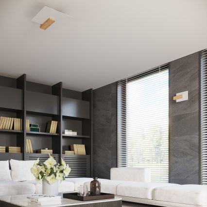 Stropna svjetiljka LAPPO 2xE27/15W/230V bežna