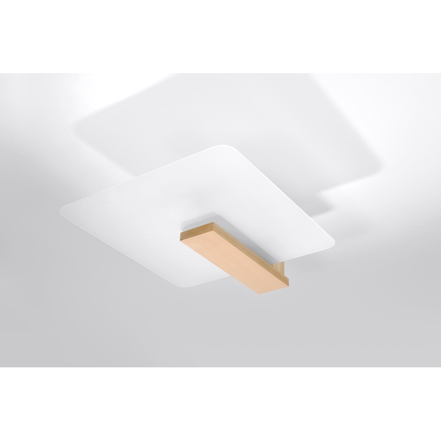 Stropna svjetiljka LAPPO 2xE27/15W/230V bežna