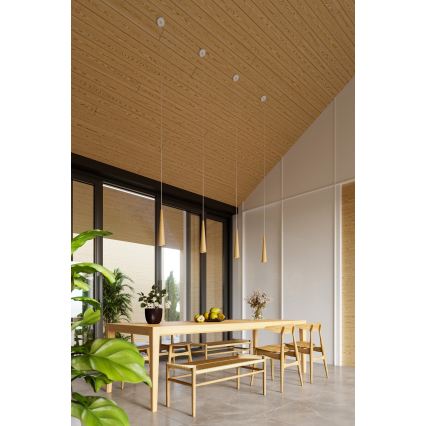 Viseća svjetiljka na lanku SULA 1xGU10/10W/230V Ø 8 cm bež