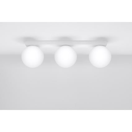 Stropna svjetiljka YOLI 3xG9/12W/230V bijela