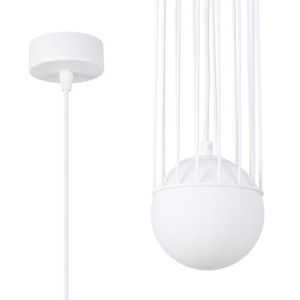 Luster na sajli BRINA 1xG9/8W/230V bijela