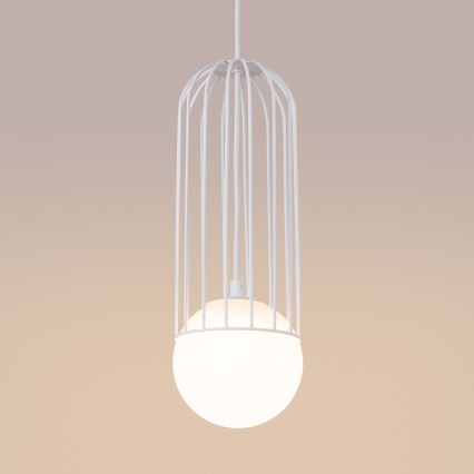 Luster na sajli BRINA 1xG9/8W/230V bijela