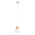 Sollux SL.1390 - Luster na sajli PEKKA 1xG9/8W/230V bijela