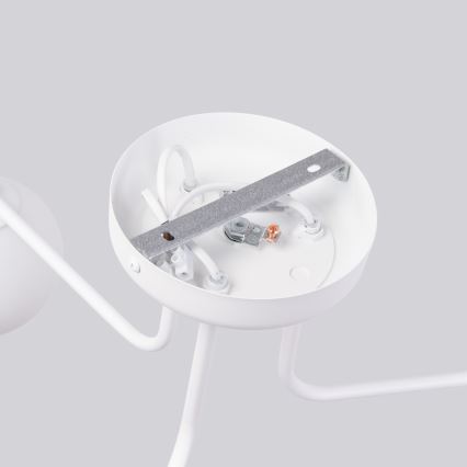 Viseći luster ASTRAL 3xG9/8W/230V bijela