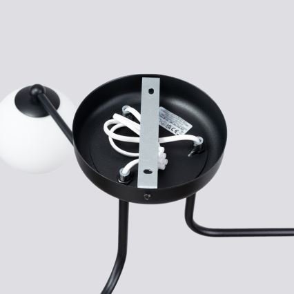 Viseći luster ASTRAL 3xG9/8W/230V crna