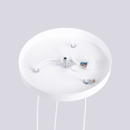 Luster na sajli HALO 3xG9/8W/230V pr. 25 cm bijela