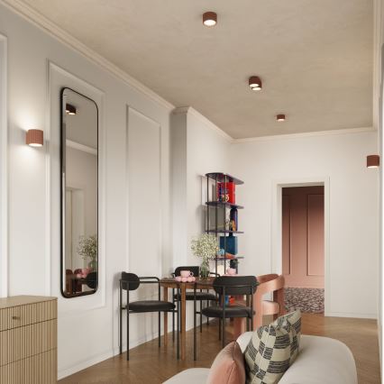 Spot svjetiljka AURA 1xGX53/10W/230V 6 cm smeđa