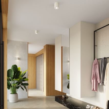 Spot svjetiljka ORBIS 1xGU10/10W/230V beton/krem