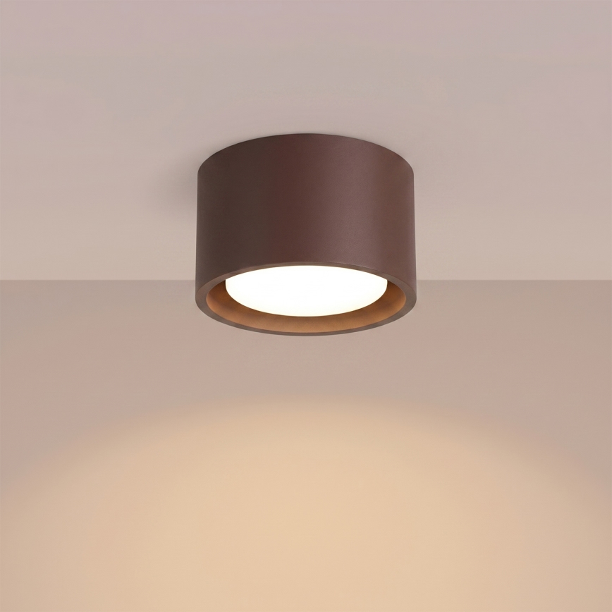 Reflektor MODO 1xGX53/10W/230V smeđi
