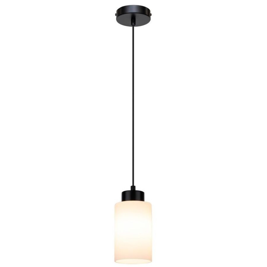 Luster na sajli BOSCO 1xE27/60W/230V – FSC certificirano