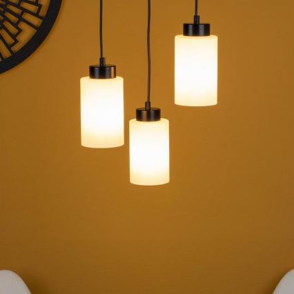 Luster na užetu BOSCO 3xE27/60W/230V