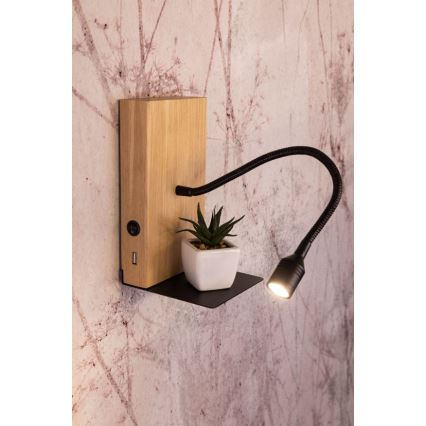 LED Zidna svjetiljka LECTOR LED/2,5W/230V USB hrast