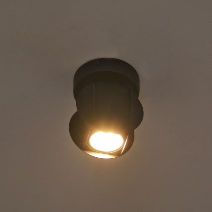 Spot svjetiljka GAMBIT 1xGU10/10W/230V crna