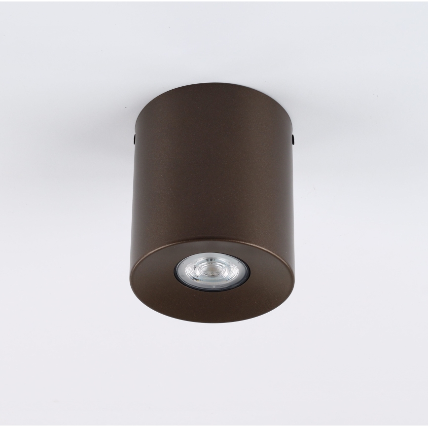 Spot svjetiljka ORION 1xGU10/10W/230V 12,5 cm smeđa