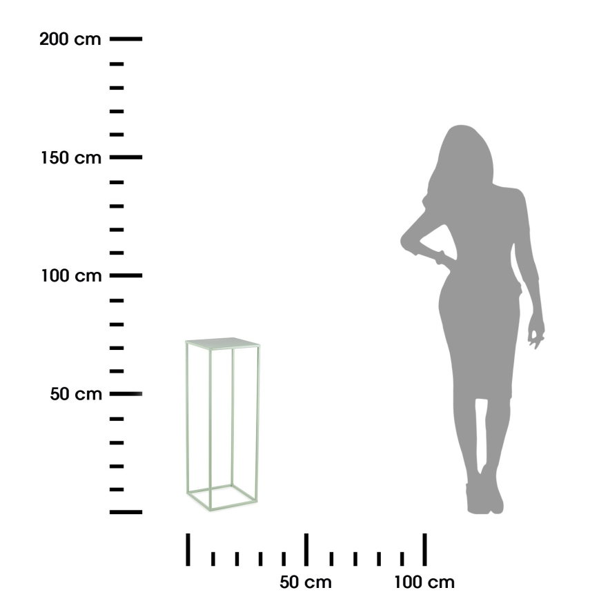 Stalak za cvijeće 70x24 cm svijetlo zelena