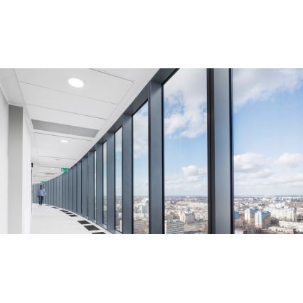 Steinel 002978 - Detektor prisutnosti DUAL HF bijeli