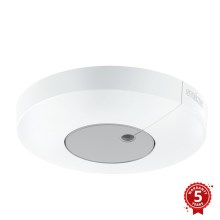 STEINEL 033651 - Sklopka za dan/noć Light Sensor Dual KNX bijeli
