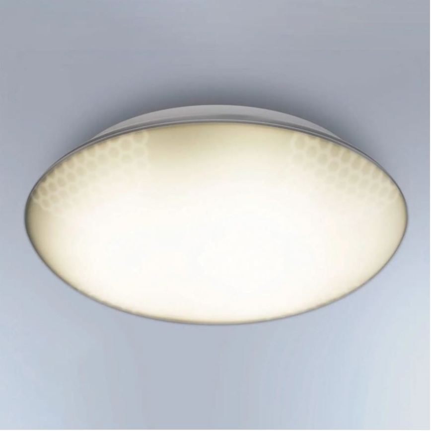 Steinel 035440 - LED Vanjska stropna svjetiljka sa senzorom QUATTRO LED/10W/230V IP54