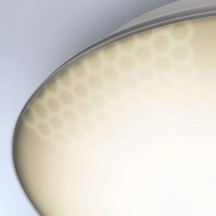 Steinel 035440 - LED Vanjska stropna svjetiljka sa senzorom QUATTRO LED/10W/230V IP54