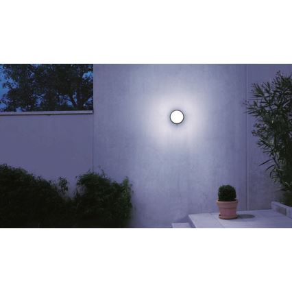 STEINEL 053079 - LED Vanjska zidna svjetiljka sa senzorom L330 LED/9W/230V 3000K IP44