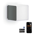 Steinel 055493 - LED Vanjska svjetiljka sa senzorom L 830 LED/9,5W/230V IP44 antracit
