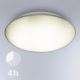 STEINEL 057589 - LED Vanjska stropna svjetiljka sa senzorom QUATTRO LED/14W/230V IP54 4000K